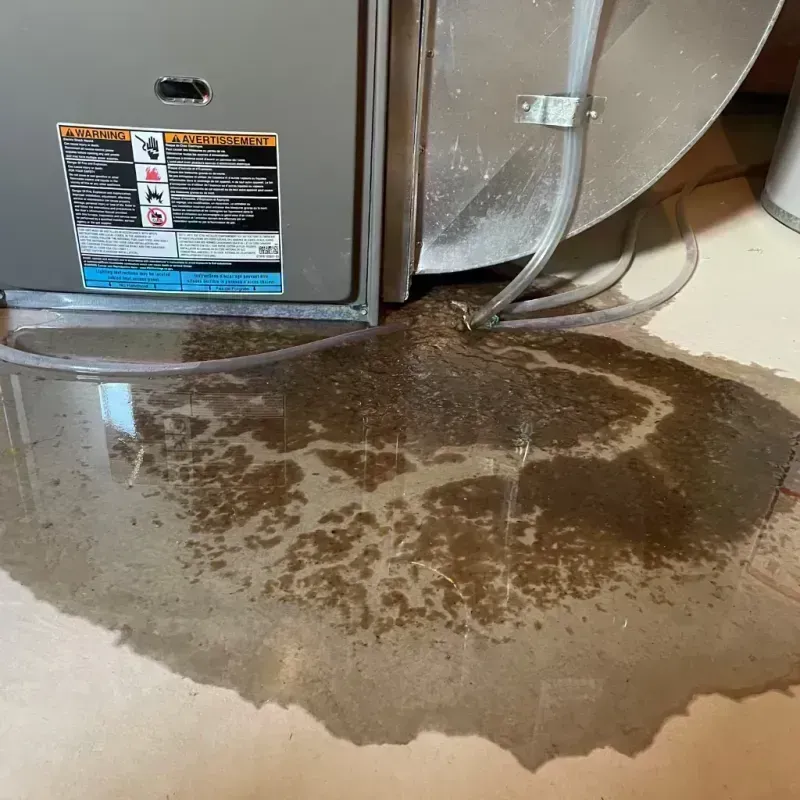 Appliance Leak Cleanup in Pueblo, CO